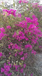 by davidford, Views[387]