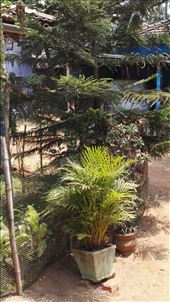 by davidford, Views[570]