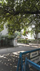 by davidford, Views[317]