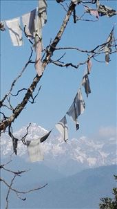 by davidford, Views[244]