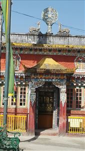 by davidford, Views[229]