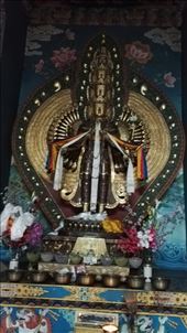 by davidford, Views[180]