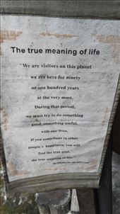 by davidford, Views[193]