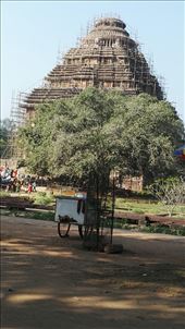 by davidford, Views[186]