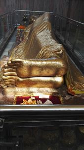 by davidford, Views[178]