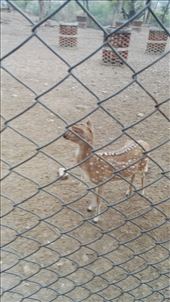 by davidford, Views[288]