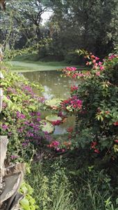 by davidford, Views[316]