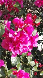 by davidford, Views[267]