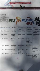 by davidford, Views[275]