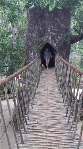 Quintessential Vitenam