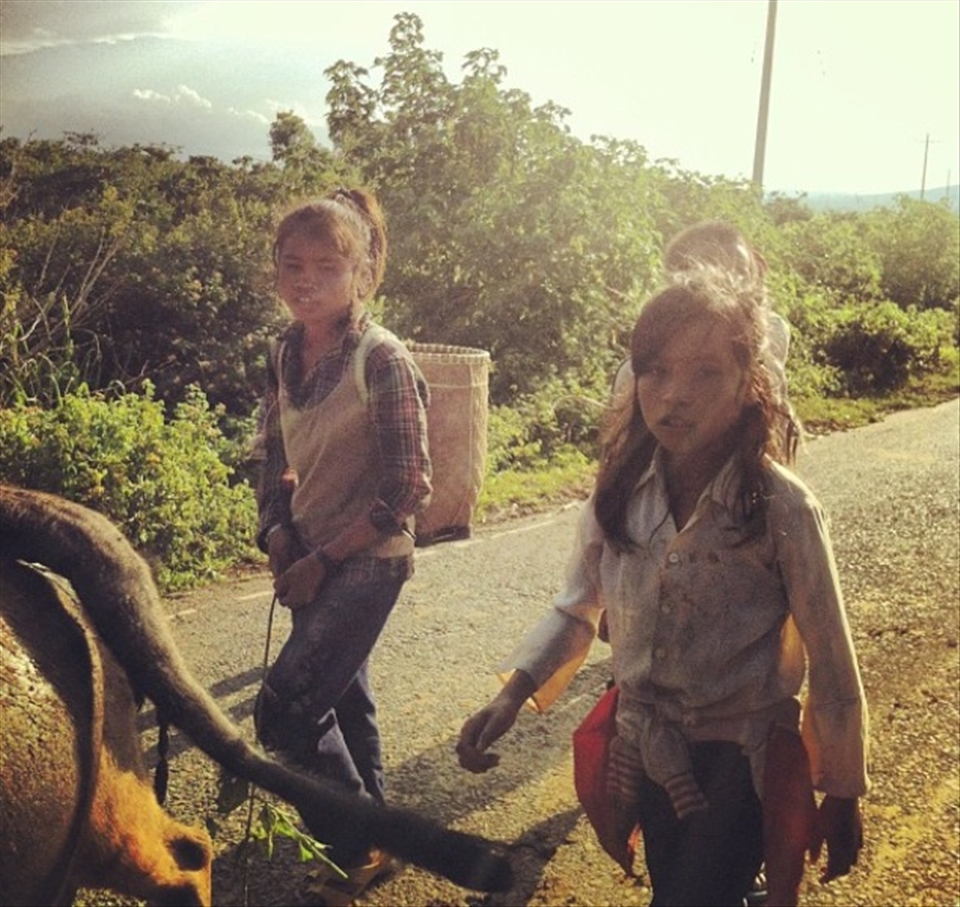 Local village children herding oxen and carrying coffee beans