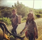 Local village children herding oxen and carrying coffee beans: by davidhodgson, Views[305]