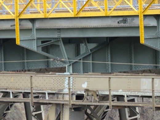 An illegal immigrant crosses the bridge from Zim to Zam