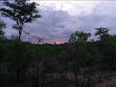 by davidt, Views[261]