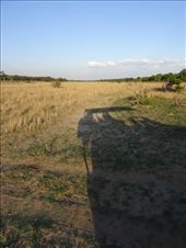 by davidt, Views[109]