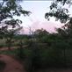 by davidt, Views[147]