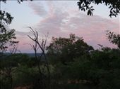 by davidt, Views[186]
