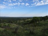 by davidt, Views[167]