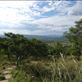 by davidt, Views[150]