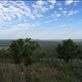 by davidt, Views[200]