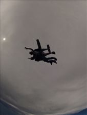 by davidt, Views[248]