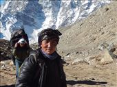 Yak Herder on way to EBC: by davidwilson, Views[210]