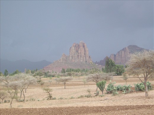 Tigray 