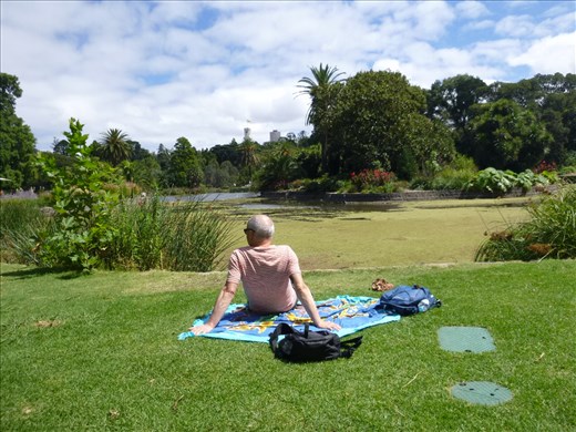 picnic lunch at botanic garden