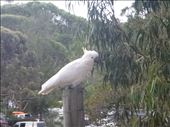 The Lorne alarm clock: by dawnandmark, Views[258]