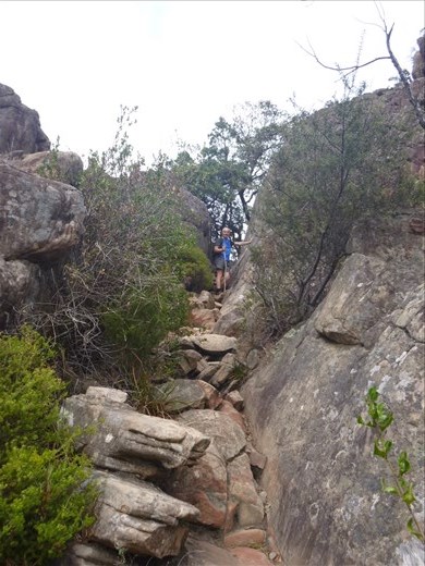 The final ascent to Boronia Peaks