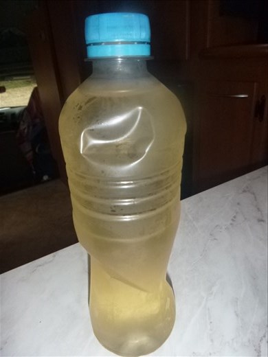 Yum, yum - brackish water to drink