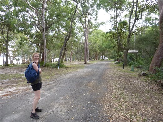 Mark asked for a quiet pitch...