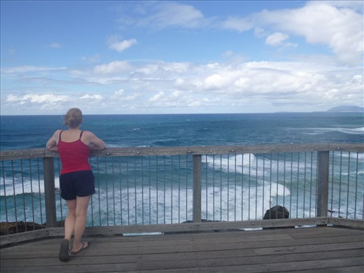 Dolpin watch at the lighthouse