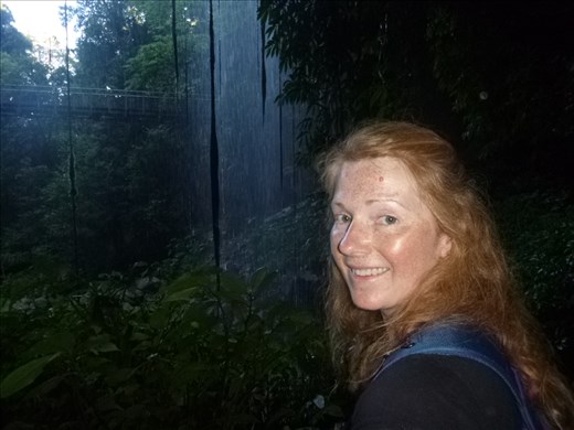 behind the waterfall Dorrigo