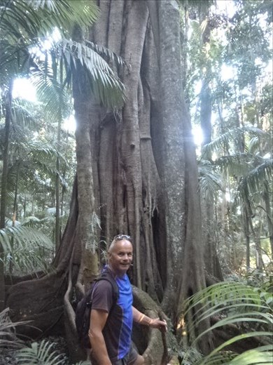 Strangling fig and Mark