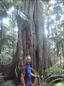 Strangling fig and Mark: by dawnandmark, Views[479]