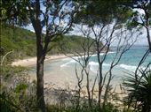 Another amazing beach off Noosa head: by dawnandmark, Views[593]