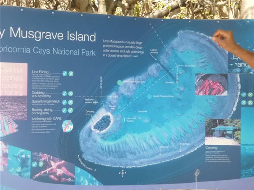 Aerial view of reef and island