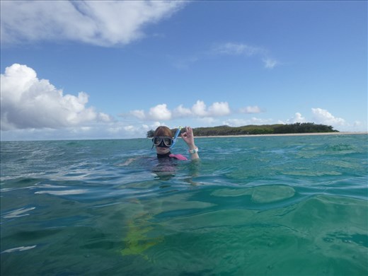 snorkelling the reef