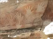 aboriginal artwork: by dawnandmark, Views[366]