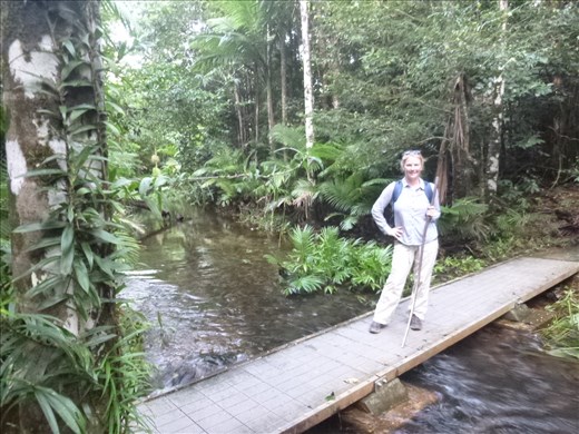 Hunting the Southern Cassawary