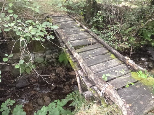 Very dodgy bridge we crossed