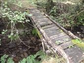 Very dodgy bridge we crossed: by dawnandmark, Views[295]
