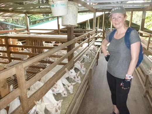 goat yogurt stop on bike ride