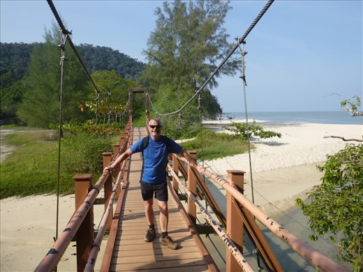 bridge to turtle beach