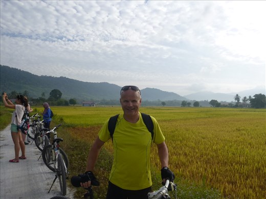 cycling through paddy fields 