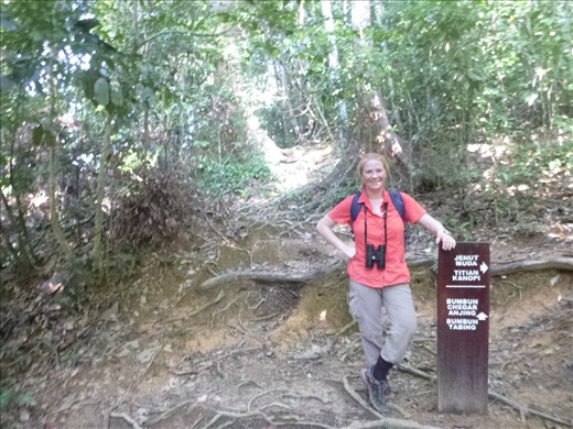 Leech protection (pants in socks and lots of insect repellent!)