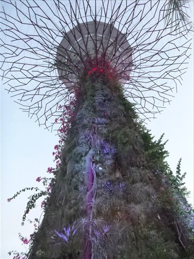 supergrove tree up close