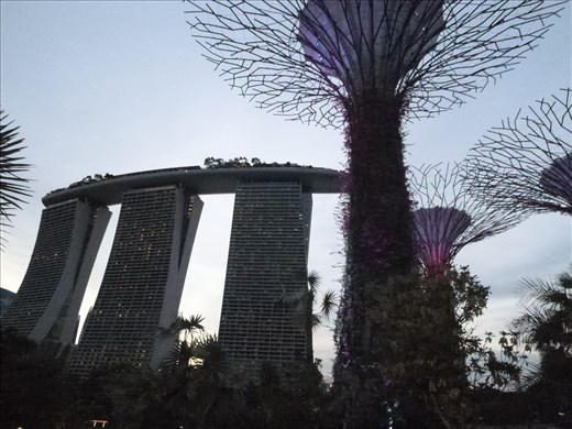 Supergrove trees and marina bay hotel