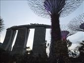 Supergrove trees and marina bay hotel: by dawnandmark, Views[671]